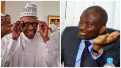 You have failed Nigerians, minority Reps fumes, tasks Buhari on planned strike by airline operators