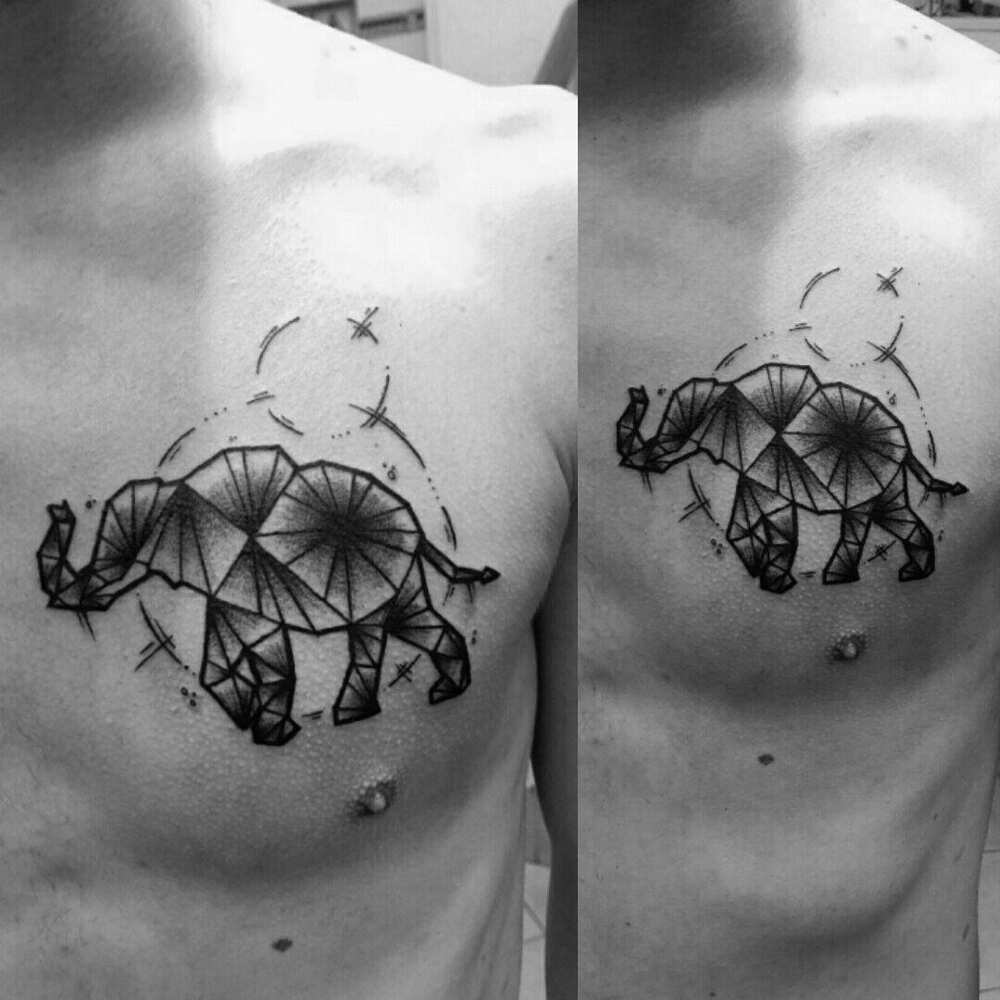 Elephant tattoo: geometry
