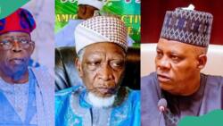 Tsadar Rayuwa: Sheikh Jingir ya fadi matsayarsa kan zaban tikitin Musulmi da Musulmi, ya yi gargadi