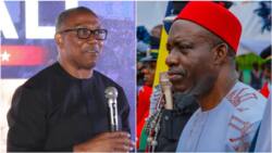 Soludo Vs Obi: New twist as statesman reveals latest about Anambra governor, LP presidential candidate
