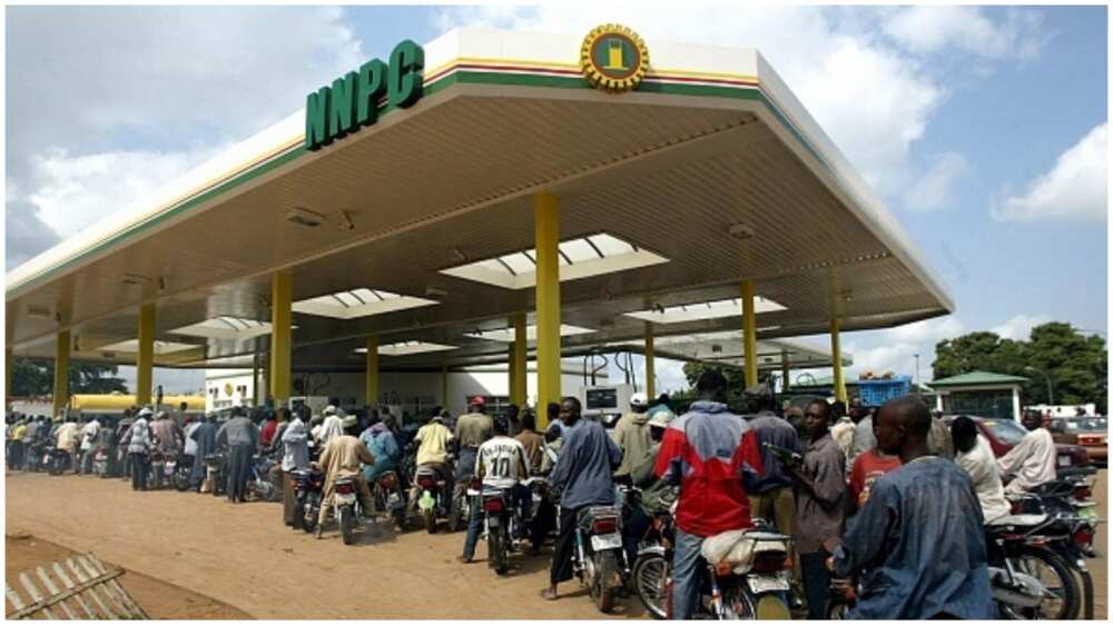 Petrol Price Hike: NLC Dares FG, Insists on national protest, vows to Shut Down Economy From February 1