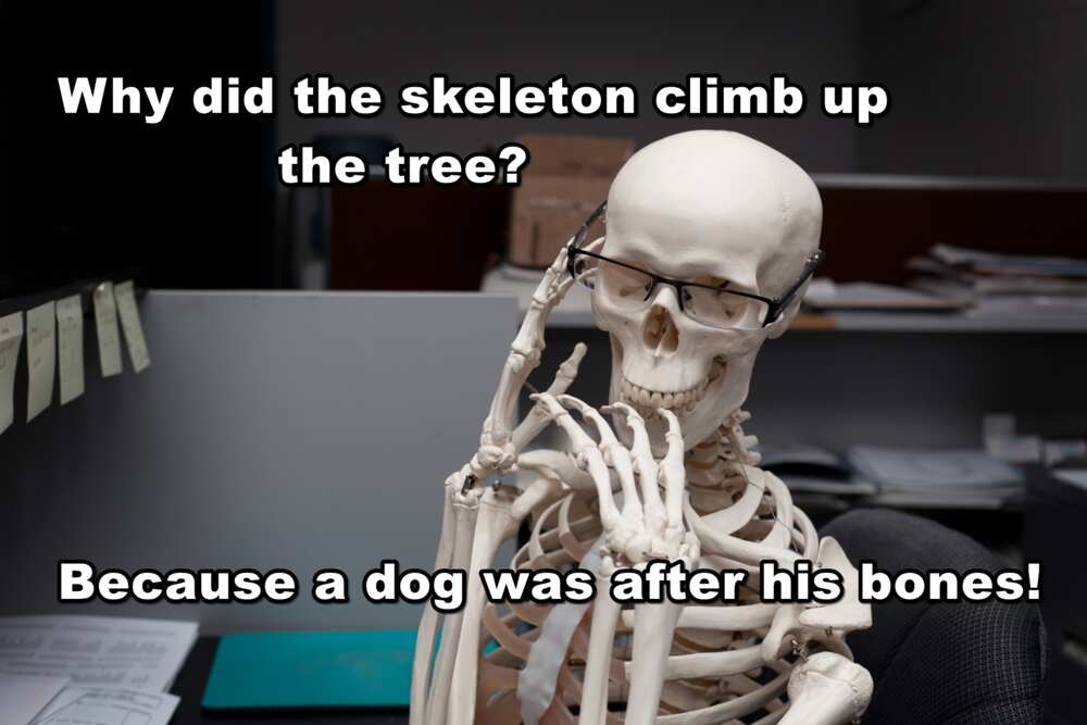 100+ skeleton puns, jokes and memes that will tickle your funny bone