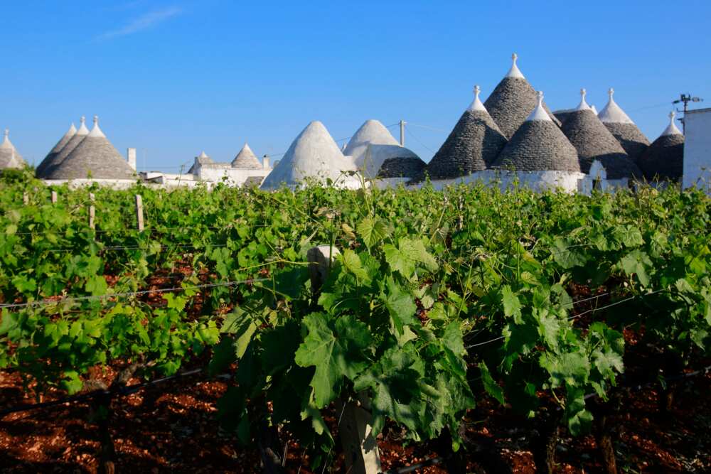 Bari : 10 choses incontournables à faire dans la capitale des Pouilles Bari : 10 choses incontournables à faire dans la capitale des Pouilles