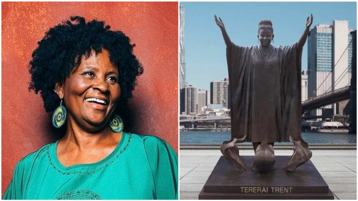 Tererai Trent Zimbabwean Scholar Named One Of The Most Inspiring Women In The World Legitng 1103