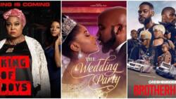King of Boys, Brotherhood, and 6 other great Nigerian movies directed and produced by women