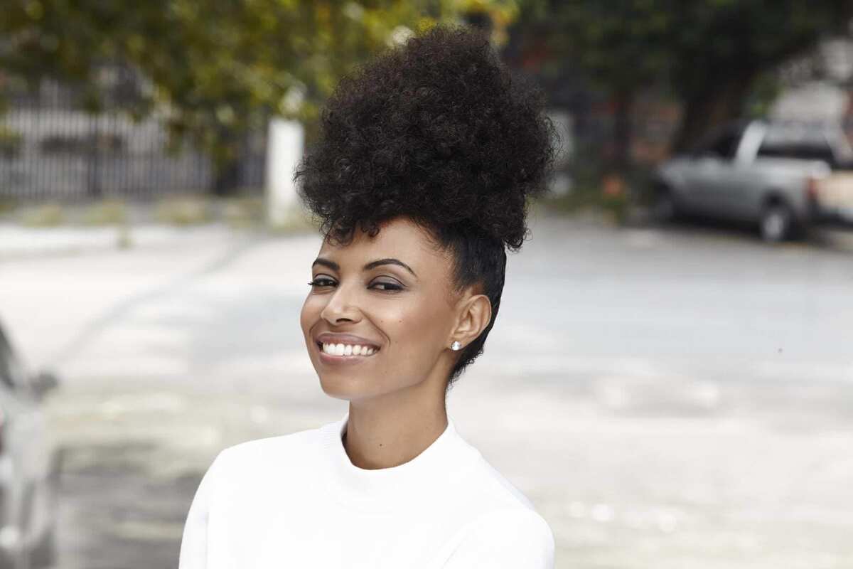 Afro hair styles for ladies 