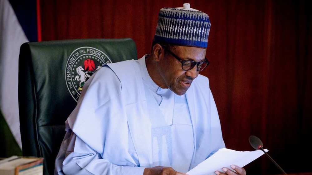 Ohanaeze to President Buhari: Create more states, local councils in southeast