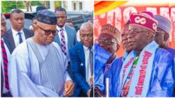 10th Senate presidency: Huge setback for Akpabio as APC, Tinubu allegedly withdraw support, details emerge