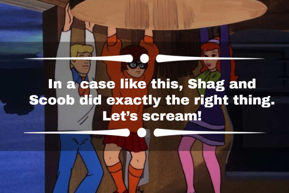 Best Scooby-Doo quotes from your favourite Mystery Gang members