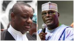 Phrank Shaibu: Resign if you disagree with Buhari’s naira policy, Atiku’s aide dares Keyamo