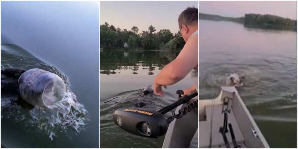 Brave boaters save bear cub from drowning by pulling plastic container off its head