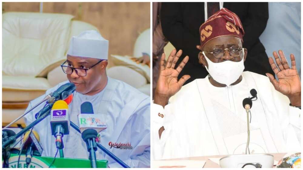 2023: We Need a President That is Agile, Tinubu's Ambition Threatened as Tambuwal Makes Case for Young Leader