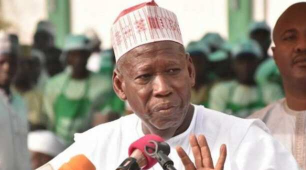 Ana iya amfani da NIN don gano ɓata-garin makiyaya, in ji Ganduje