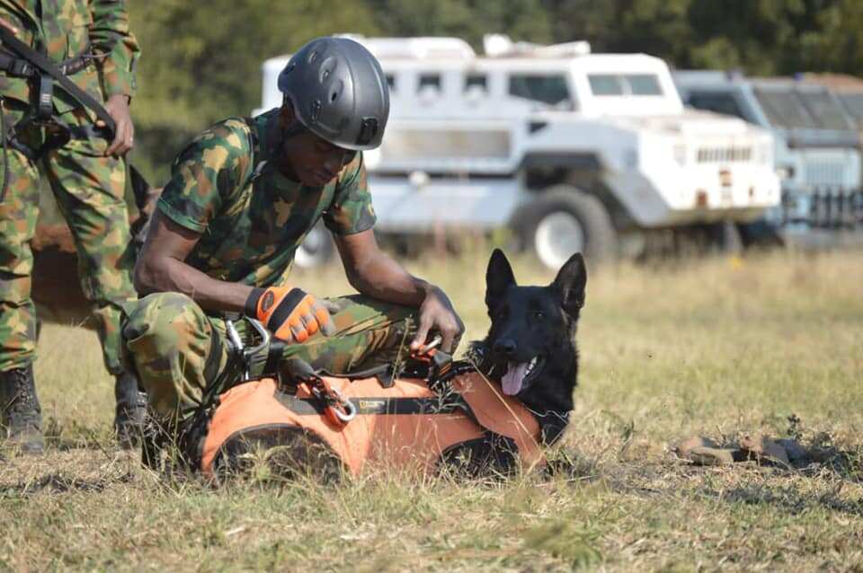 Nigeria Air Force recruitment Nigeria Air Force recruitment
