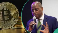 CBN governor speaks on regulating cryptocurrency in Nigeria as FG searches for Binance executive