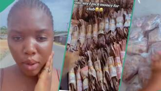 "No gree for anybody": Nigerian girl visits night club, packs wads of N100 notes home, video trends