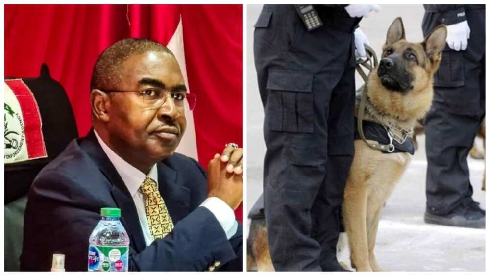 NDLEA, Buba Marwa, Drug trafficking, sniffer dogs, $20,000