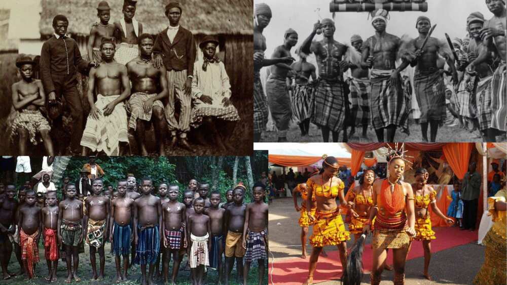 Igbo people. Photo: @ohafrikans, @igboamaaka, @Afrika Arise, @cityoflibertychurch (modified by author)