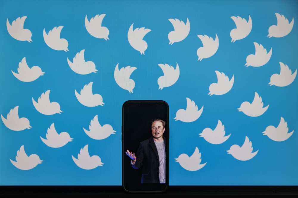 Twitter is fighting efforts by Elon Musk to get his hands on vast troves of user data in his legal fight to get out of the $44 billion deal he made to by the firm.