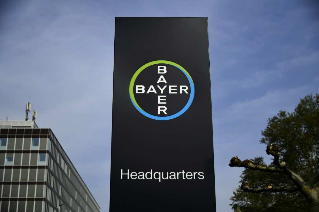 Chemical Giant Bayer To Cut Management Jobs After Huge Loss - Legit.ng