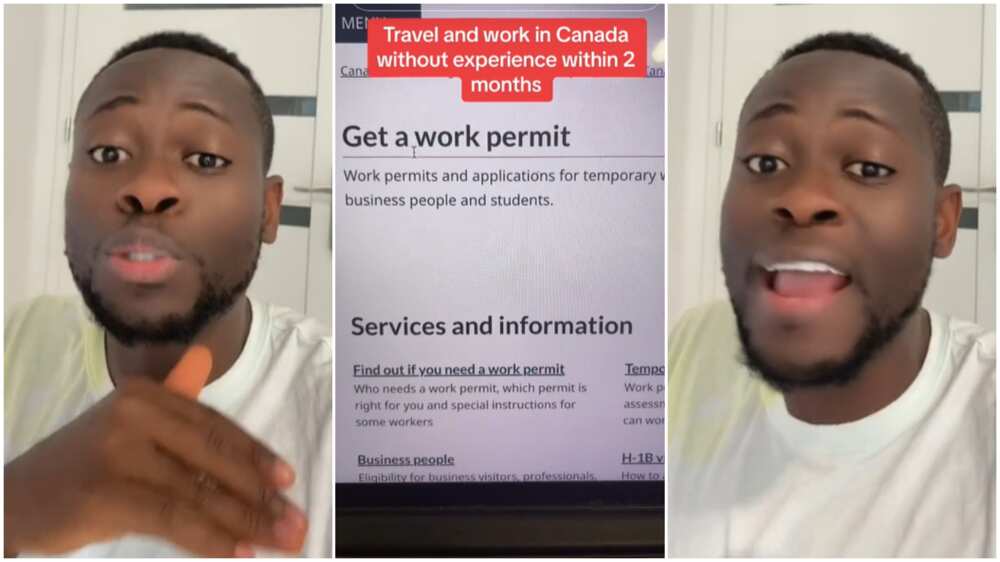 Canadian visa as farmer/Relocating abroad.