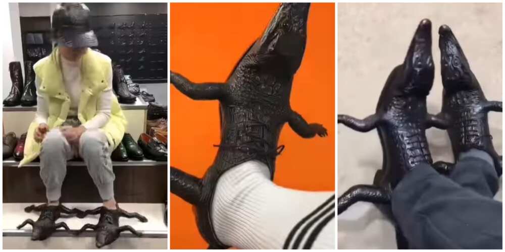 Photos of crocodile shoes.