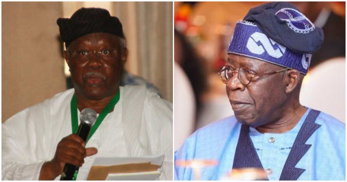 Bode George: Zan tattara na koma Ghana sannan na dunga kallo daga nesa idan Tinubu ya zama shugaban kasa