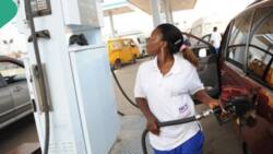 Marketer reveals real price of petrol as FG continues fuel subsidy in secrecy, spends N17.72bn daily