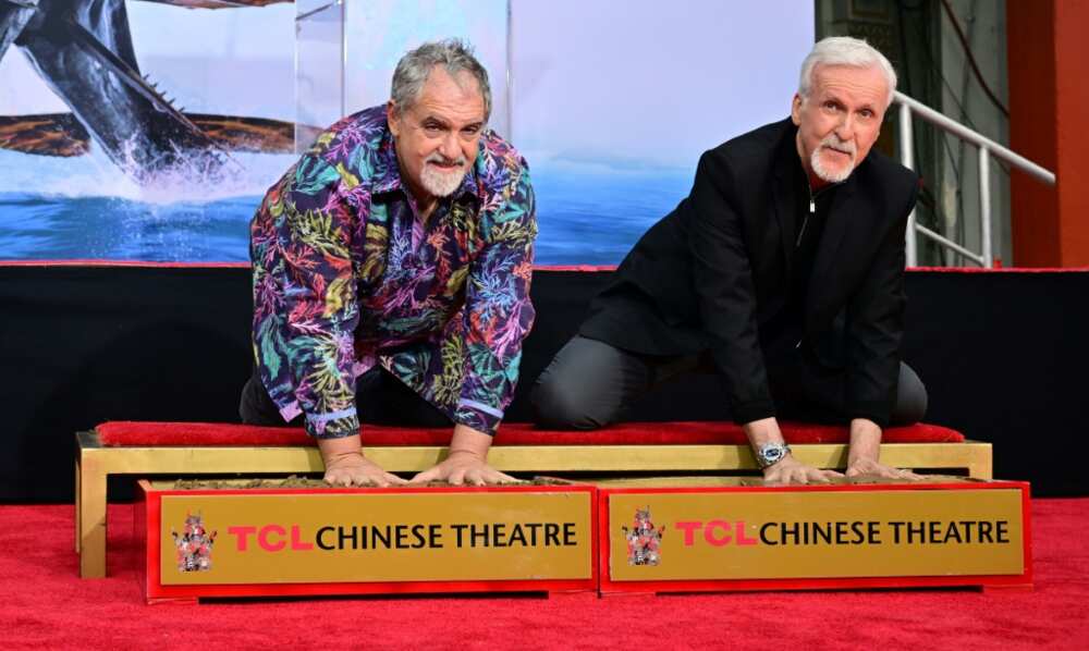 James Cameron's 'Avatar' sequel has torn audiences away from the comfort of their sofas