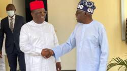 Tinubu's govt: Ohanaeze picks APC governor for Senate presidency slot