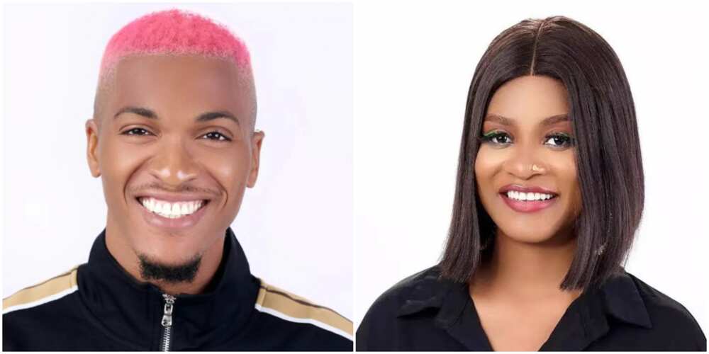 BBNaija Groovy and Phyna, BBN Phyna and Groovy