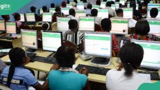 JAMB: List of 12 states with highest 2024 UTME applications