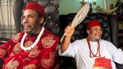 Actor Pete Edochie's biography: age, wife, children, net worth, movies