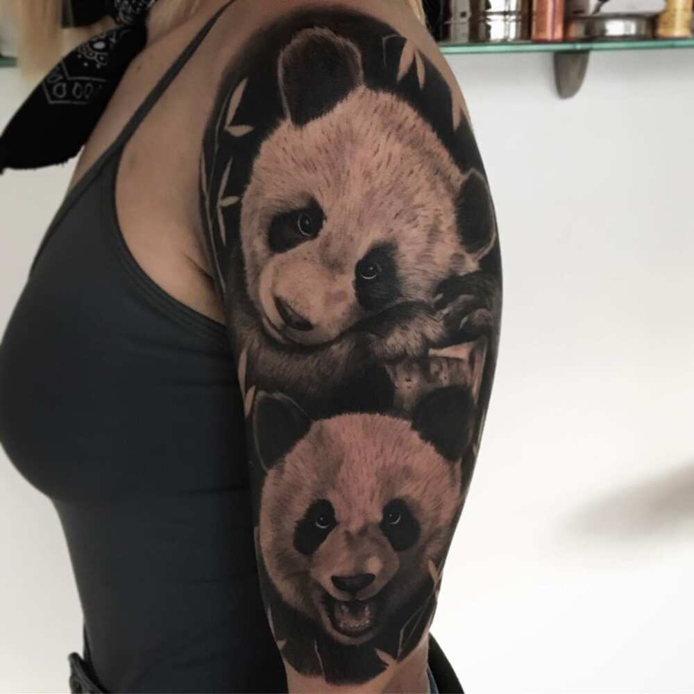 bear tattoo design