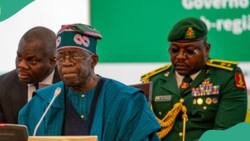 "Reverse Robin Hood": Tinubu under fire over electricity tariff hike, subsidy removal