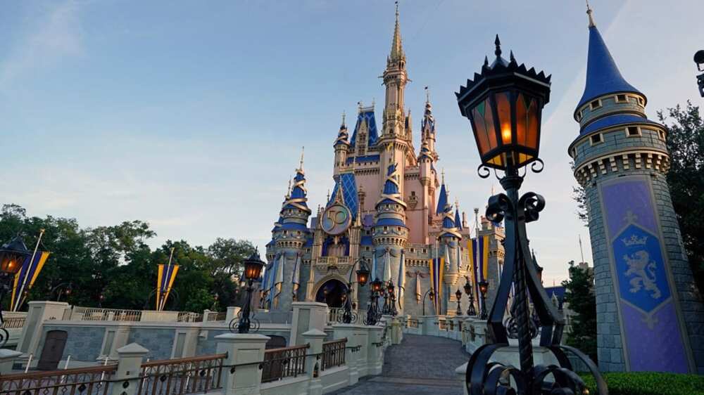 The three employees have been working at the park since 1971. The three employees have been working at the park since 1971.