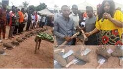 Outrage as local government chairman in Cross River empowers farmers each with one yam, hoe and cutlass