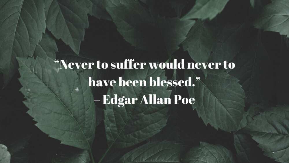 Edgar Allan Poe Raven quotes