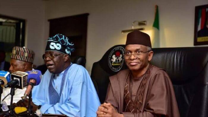 Tinubu too old to be president? APC debunks claim attributed to powerful northern governor