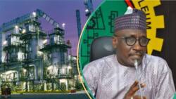 After receiving 470,000 barrels of crude, FG speaks on the state of a Nigerian refinery