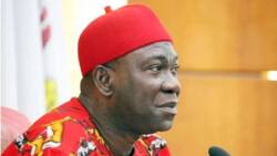 Alleged Kidney Harvest: Embattled Ekweremadu Makes Fresh Confession in London Court