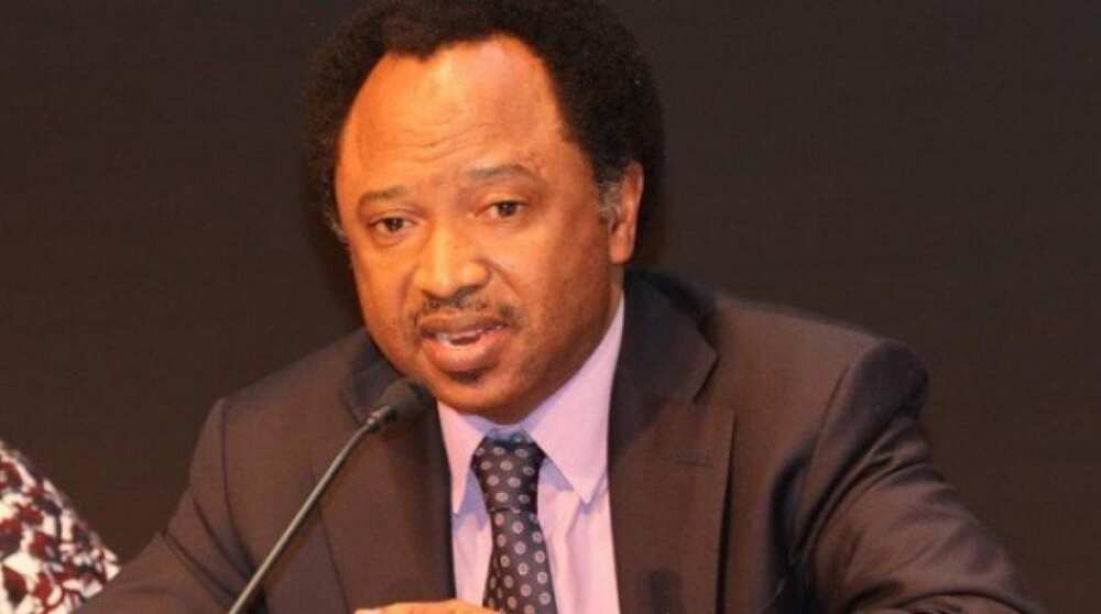 Musa na neman rance a wajen Neymar – Sani ya yi ba’a ga FG kan neman rancen $1.2b daga Brazil Musa na neman rance a wajen Neymar – Sani ya yi ba’a ga FG kan neman rancen $1.2b daga Brazil