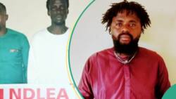 "Unholy alliance": NDLEA raids drug party in Osun, arrests 30-year-old organiser, others
