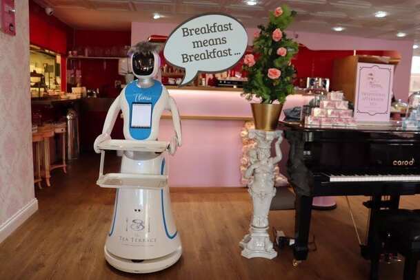 Uk Restaurant Introduces Robotic Waitress Names It After Former Prime Minister Theresa May Legit Ng