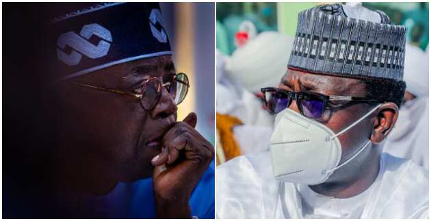 Tinubu, Jibrin