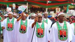 Presidential election: "What PDP G-5 govs did to bring presidency to south" - Wike