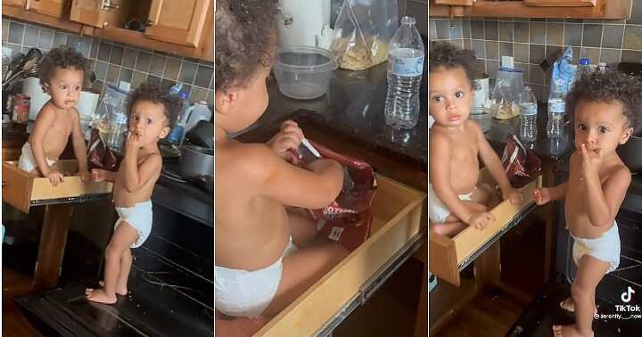 Cute Twins Sneak into the Kitchen to Eat Their Mother s Chips in