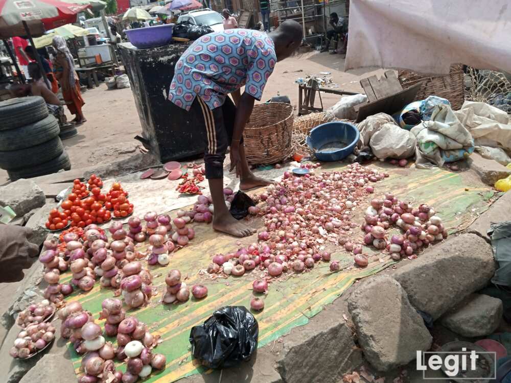 Onion is very expensive in the market and the cost of purchase is also high. Interestingly, the demand for the item did not drop. Photo credit: Esther Odili Onion is very expensive in the market and the cost of purchase is also high. Interestingly, the demand for the item did not drop. Photo credit: Esther Odili