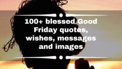 100+ blessed Good Friday quotes, wishes, messages and images