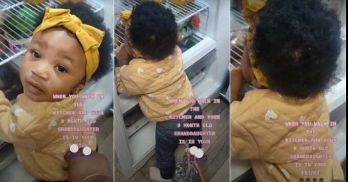 Little girl licks fridge, refrigerator